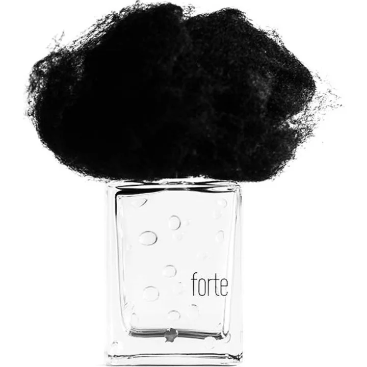166876_img-2967-filippo-sorcinelli-pioggia-forte_720 دکانت عطر فیلیپو سورچینلی پیوگیا فورته | Filippo Sorcinelli Pioggia Forte - تصویر 1