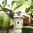 دکانت عطر جو مالون وود سیج اند سی سالت | Jo Malone London Wood Sage & Sea Salt - تصویر 3