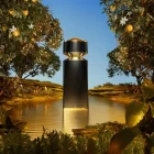دکانت عطر بولگاری تایگار | Bvlgari Tygar - تصویر 3