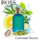 دکانت عطر بویس ۱۹۲۰ کانابیس سالاتا | BOIS 1920 Cannabis Salata - تصویر 3