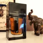 دکانت عطر دیور هوم پارفوم | Dior Homme Parfum - تصویر 4