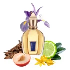دکانت عطر زرجوف ایکس ایکس وای | XERJOFF XXY - تصویر 2