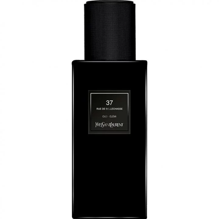 ۹۹۸۱۱_img-1315-yves_saint_laurent-le_vestiaire__37_rue_de_bellechasse_720 دکانت عطر ایوسن لورن ۳۷ رو د بلچاسه | YVES SAINT LAURENT 37 rue de Bellechasse - تصویر 1