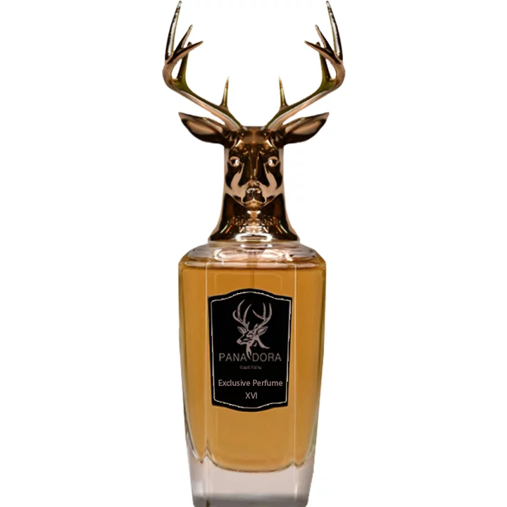 ۱۴۴۴۷۱_img-7969-pana-dora-xvi_720 دکانت عطر پانا دورا ایکس وی ای ۱۶ | Pana Dora XVI - تصویر 1