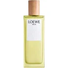 دکانت عطر لوئوه آگوا د لوئوه | LOEWE Agua de Loewe