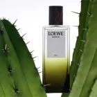 دکانت عطر لوئوه اسنزیا الکسیر | LOEWE Esencia Elixir - تصویر 2