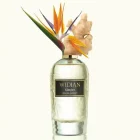 دکانت عطر ویدیان جینجر | WIDIAN Ginger - تصویر 2