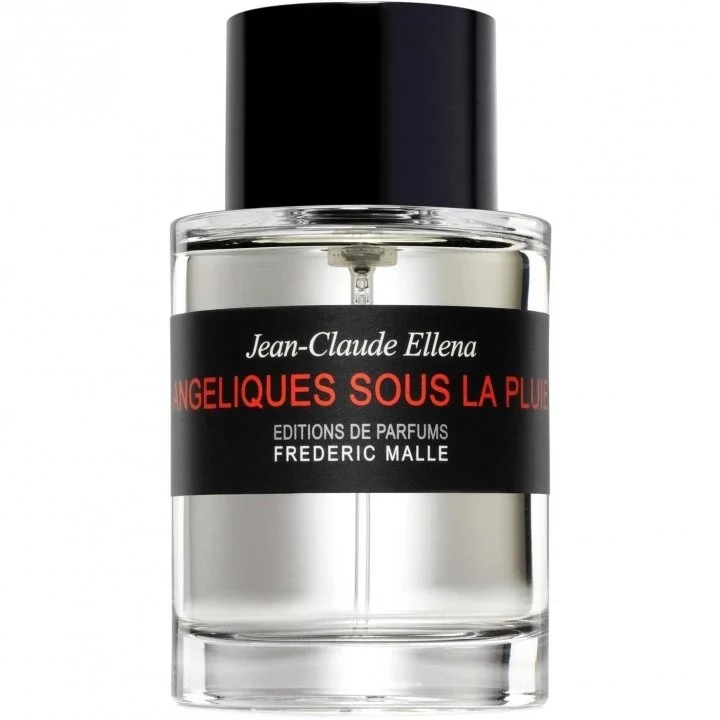 2081_img-3909-editions_de_parfums_frederic_malle-angeliques_sous_la_pluie_720 دکانت عطر فردریک مال انجلیکس سوس لا پلویی | FREDERIC MALLE Angéliques Sous La Pluie - تصویر 1