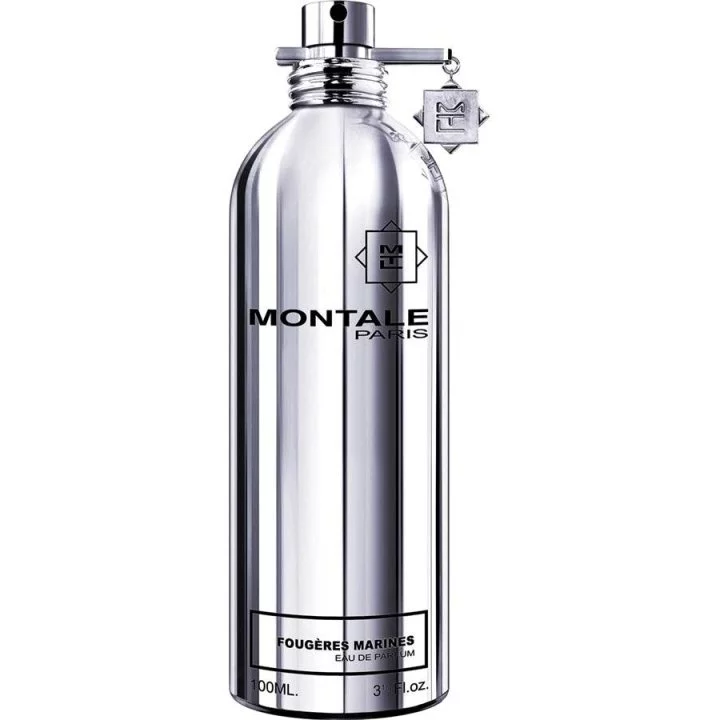 3704_img-1206-montale-fougeres_marines_720 دکانت عطر مونتال فوژه مارین | Montale Fougeres Marines - تصویر 1