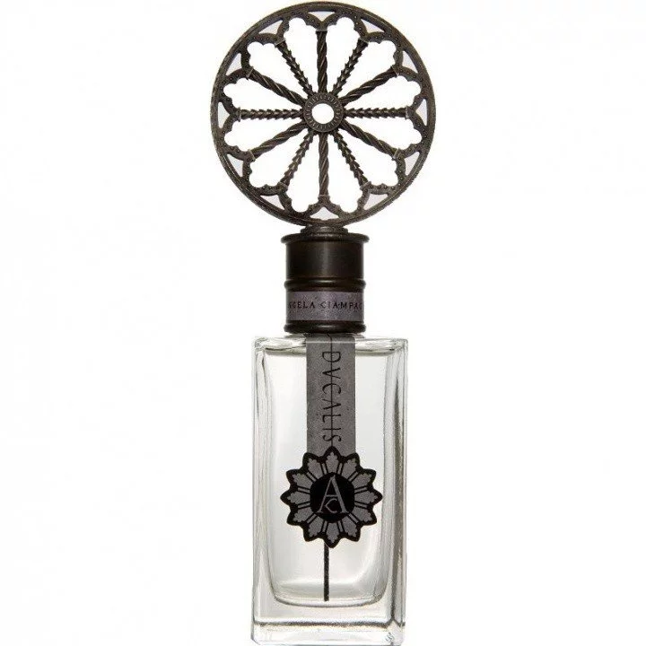 56384_bk60ye_ducalis_720 دکانت عطر آنجلا چامپاینیا دوکلیاس | Angela Ciampagna Ducalis - تصویر 1