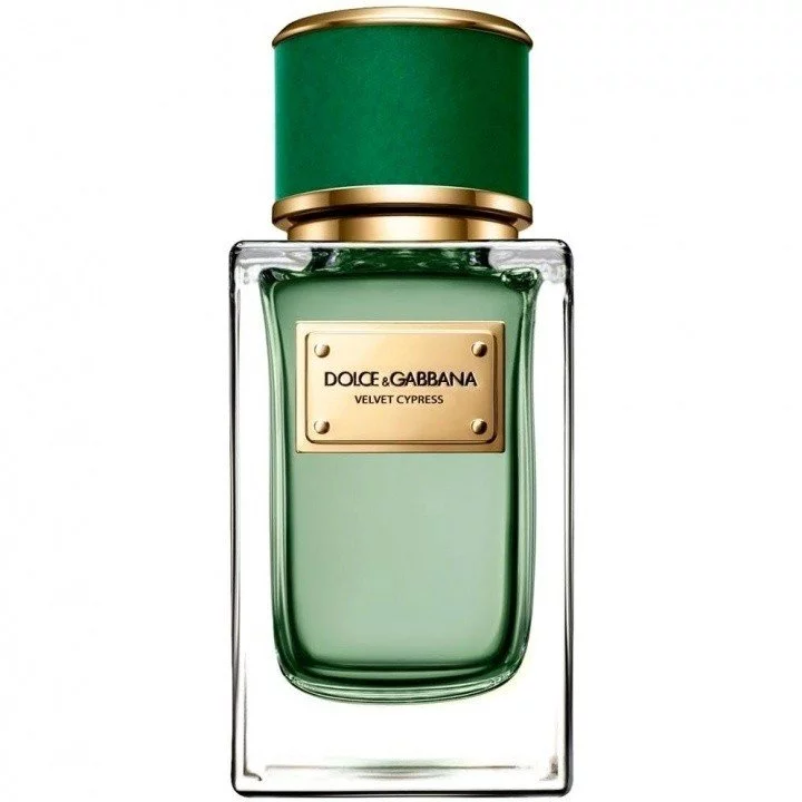 82786_6y7ujp_velvet_cypress_720 دکانت عطر دولچه گابانا ولوت سایپرس | DOLCE & GABBANA Velvet Cypress - تصویر 1