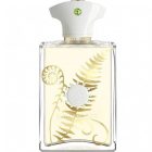 دکانت عطر آمواج براکن مردانه | Amouage Bracken Man